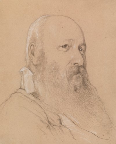 Retrato de un hombre con barba de Severin Falkman