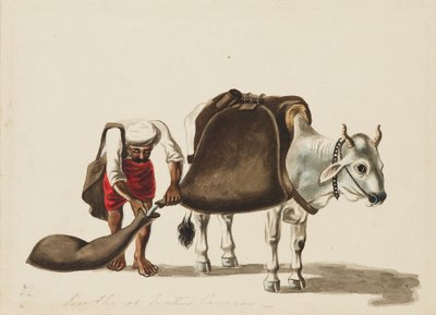Aguador, c. 1810 de Sewak Ram