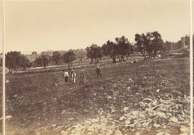 Vista General de la Ciudad desde el Norte de Sgt. James M. McDonald