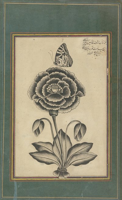 flor y una mariposa de Shafi