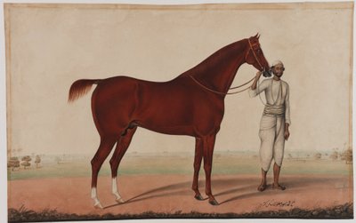 Un caballo y un mozo de cuadra, c.1840 de Shaik Muhammad Amir of Karraya
