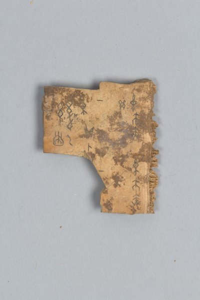 Fragmento de hueso adivinatorio (concha) de Shang Dynasty Chinese School