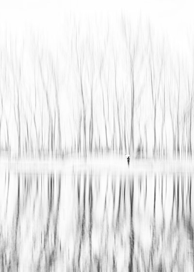 Figura solitaria: reflejo invernal de Shanrui Ren