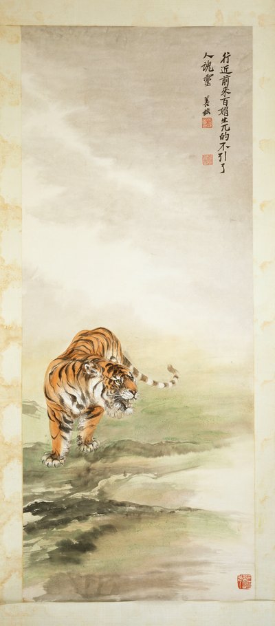 Tigre de Shanzi Zhang
