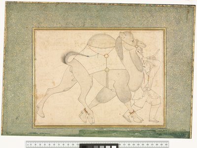 Camello y mozo de cuadra, c.1545-76 de Shaykh Muhammad