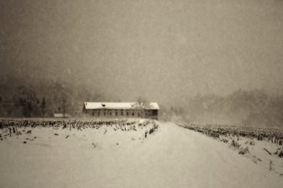  de Sheila Bernard