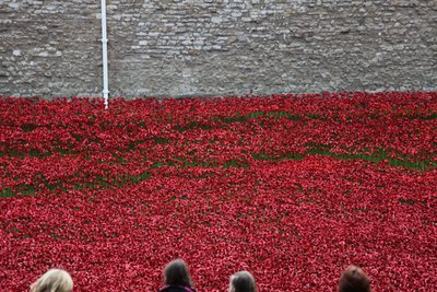 Tierras y mares de rojo barridos por la sangre, Torre de Londres de Sheldon Marshall