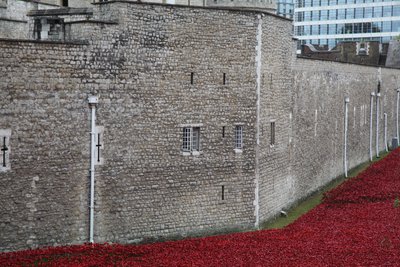 Tierras y mares de rojo barridos por la sangre, Torre de Londres, 2014 de Sheldon Marshall