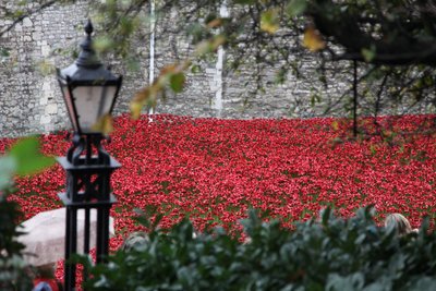 Tierras y mares de rojo barridos por la sangre, Torre de Londres, 2014 de Sheldon Marshall