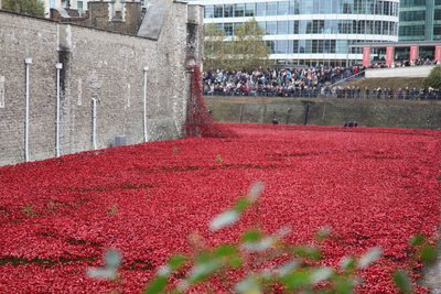 Tierras y mares de rojo barridos por la sangre, Torre de Londres, 2014 de Sheldon Marshall