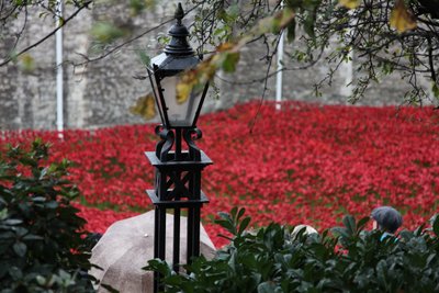 Tierras y mares de rojo bañados en sangre, Torre de Londres de Sheldon Marshall
