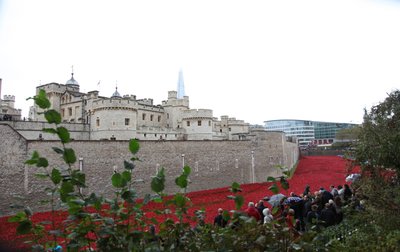 Tierras y mares de sangre barridos por el viento, Torre de Londres, 2014 de Sheldon Marshall