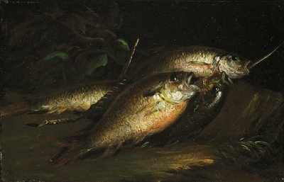 Pescado, 1842 de Shepard Alonzo Mount