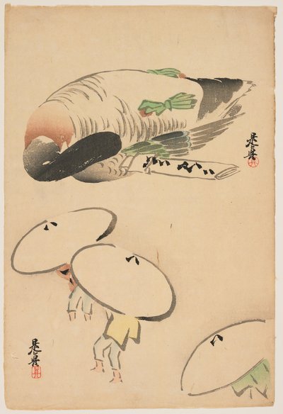  de Shibata Zeshin