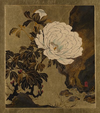 Pinturas de Laca de Varios Temas: Peonías de Shibata Zeshin