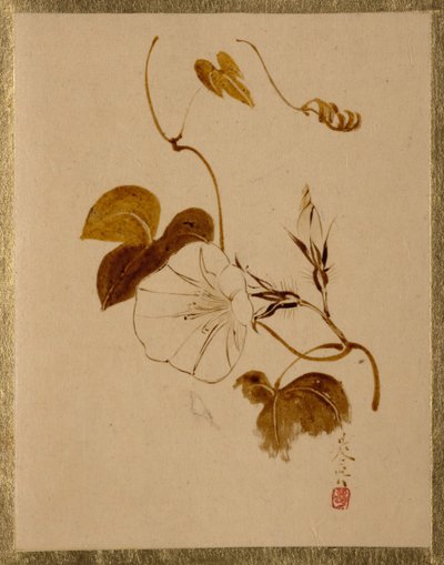 Gloria de la mañana de Shibata Zeshin