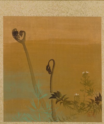 New Ferns from Album of Paintings by the Venerable Zeshin de Shibata Zeshin