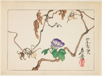  de Shibata Zeshin