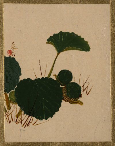 Gusano en Planta de Hojas Verdes de Shibata Zeshin