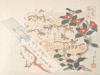 Diseños de papel de escribir con flores, siglo XIX de Shinsai
