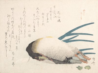 Colección Lluvia de Primavera Harusame shu, vol. 1: Pato y Cebolletas, 1810s de Shinsai