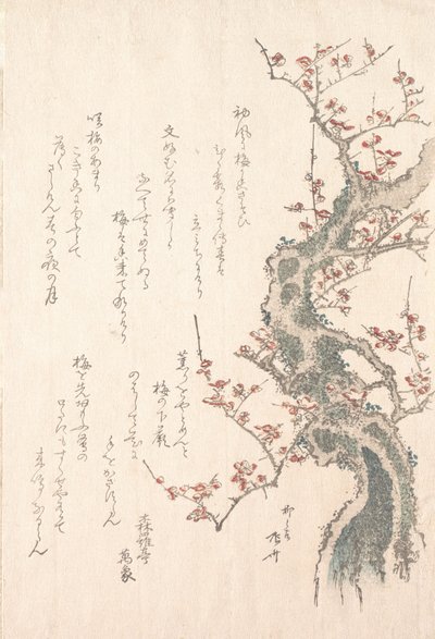Colección de lluvia de primavera Harusame shu, vol. 1: Ciruelo en flor, ca. 1805-10 de Shinsai