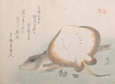 Raya y Gurnard, probablemente 1815 de Shinsai