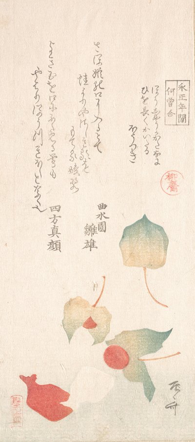 Cerezas de invierno de Shinsai