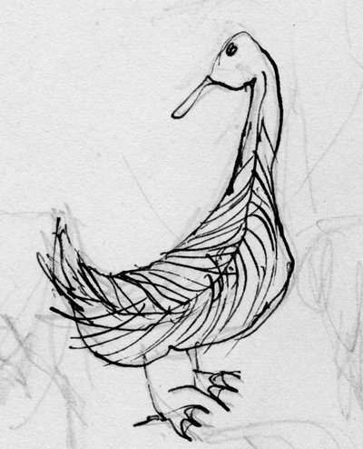 Pájaro, c. 1950 de Shirley Markham