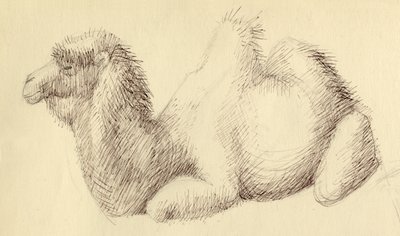 Camello, c. 1951 de Shirley Markham