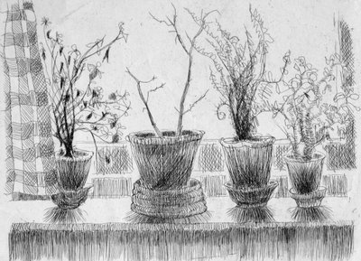Plantas muertas en un alféizar, 1952 de Shirley Markham
