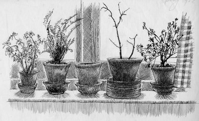 Plantas muertas en un alféizar, 1952 de Shirley Markham