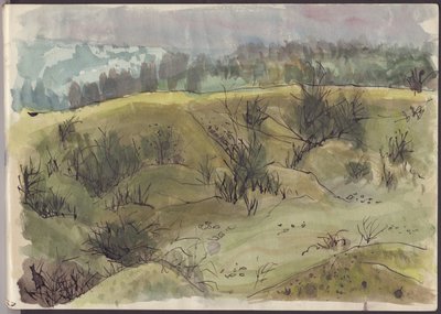 Paisaje con arbustos, Italia, c1950 de Shirley Markham