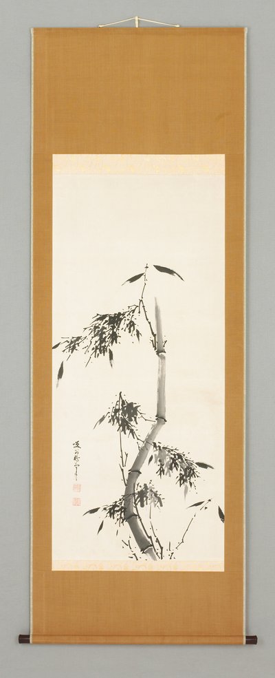 Bambú de Shokon Taiho