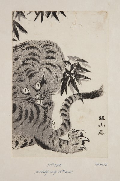 Tigre de Shozan Shozan