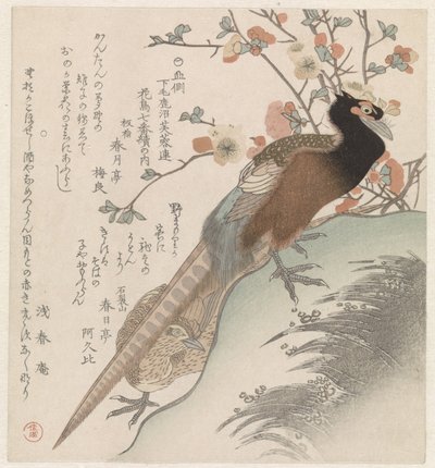 Faisanes para una rama de flores. Siete imágenes de pájaros y flores para la Sociedad de Poesía Fuyôren de Kanuma de la provincia de Shimotsuke (título de la serie) Yamagawa Shimotsuke Kanuma Fuyôren kachô shichiban tsuzuki no uchi (título de la serie sobr de Shunman