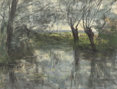 Estanque del bosque de Siebe Johannes ten Cate