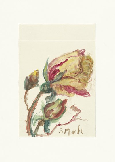 Roos de Sientje Mesdag van Houten