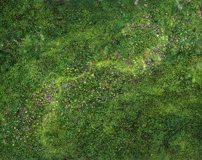 A vista de pájaro de Silvian Sternhagel