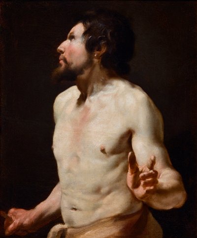 Estudio de torso de Simon (circle of) Vouet