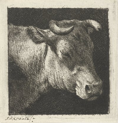 Cabeza de vaca a la derecha de Simon Andreas Krausz