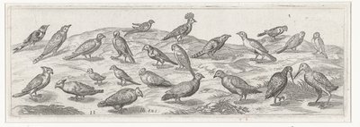 Paisaje con diferentes tipos de pájaros. Pájaros e insectos (título de la serie) de Simon Frisius