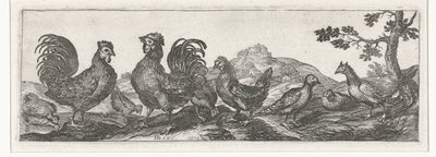 Aves de corral Pájaros e insectos (título de la serie) de Simon Frisius