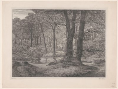Bosque con estanque y hombre reclinado
Bosque de Teutoburgo (escena de bosque) (título original) de Simon Moulijn (signed by artist)