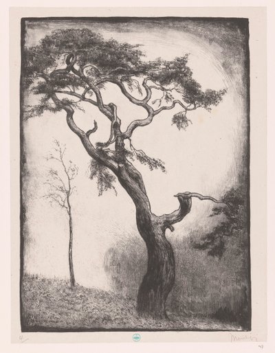Pino de Simon Moulijn (signed by artist)