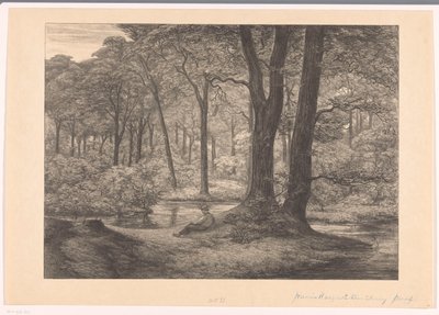 Vista de los Hunnenschans en el Veluwe
Los Hunnenschans (título original) de Simon Moulijn