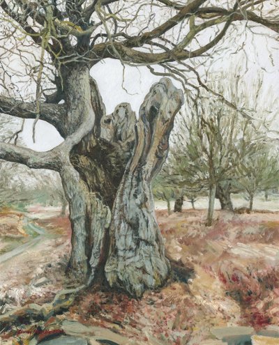 Árbol viejo, Richmond Park, 2018 (óleo sobre lino) de Simon Neville