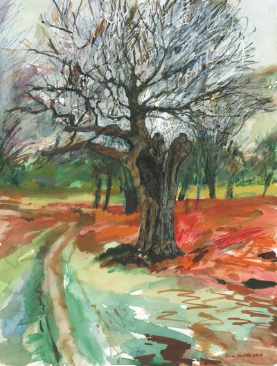 Árbol viejo, Richmond Park, 2019 (lápiz acuarelable y rotulador de pintura acrílica sobre papel) de Simon Neville