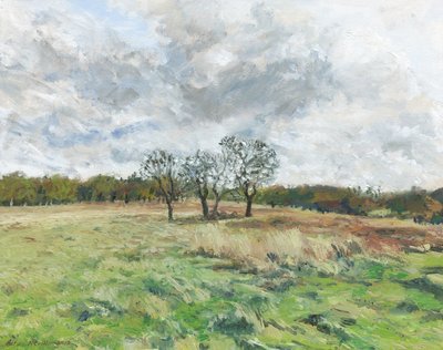 Richmond Park (óleo sobre lienzo) de Simon Neville