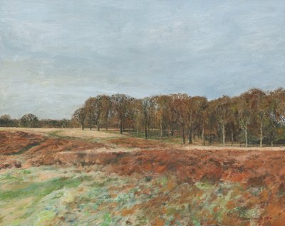 Richmond Park, 2019 (óleo sobre lienzo) de Simon Neville